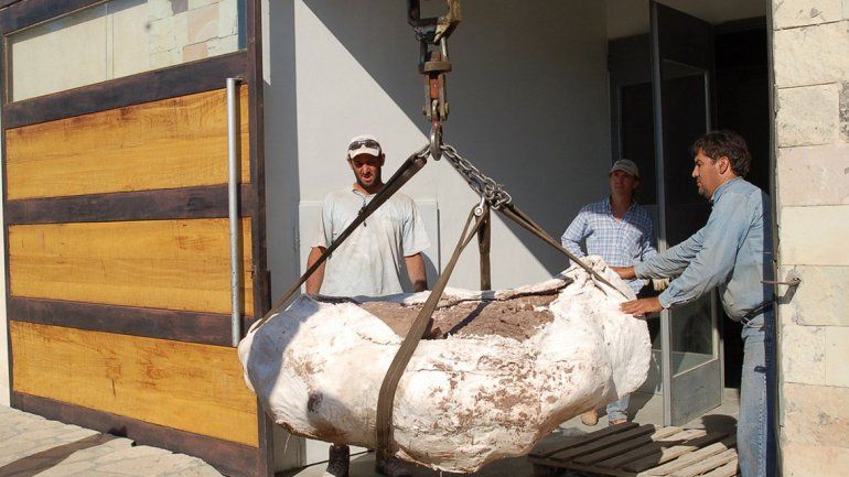 Descubrieron una nueva especie de dinosaurio de 110 millones de años en Neuquén