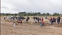 Una imagen impactante. Los niños atraviesan la pista entre caballos que se desplazan a toda velocidad. Una imagen impactante. Los niños atraviesan la pista entre caballos que se desplazan a toda velocidad.