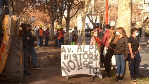 Volvió la polémica por los árboles a la ciclovía: Los están mutilando