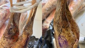 Continúan los decomisos de carne en comercios: llevan secuestrados más de 1300 kilos en Cipolletti.