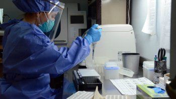 todos los casos de covid en neuquen son de la variante delta todos los casos de covid en neuquen son de la variante delta