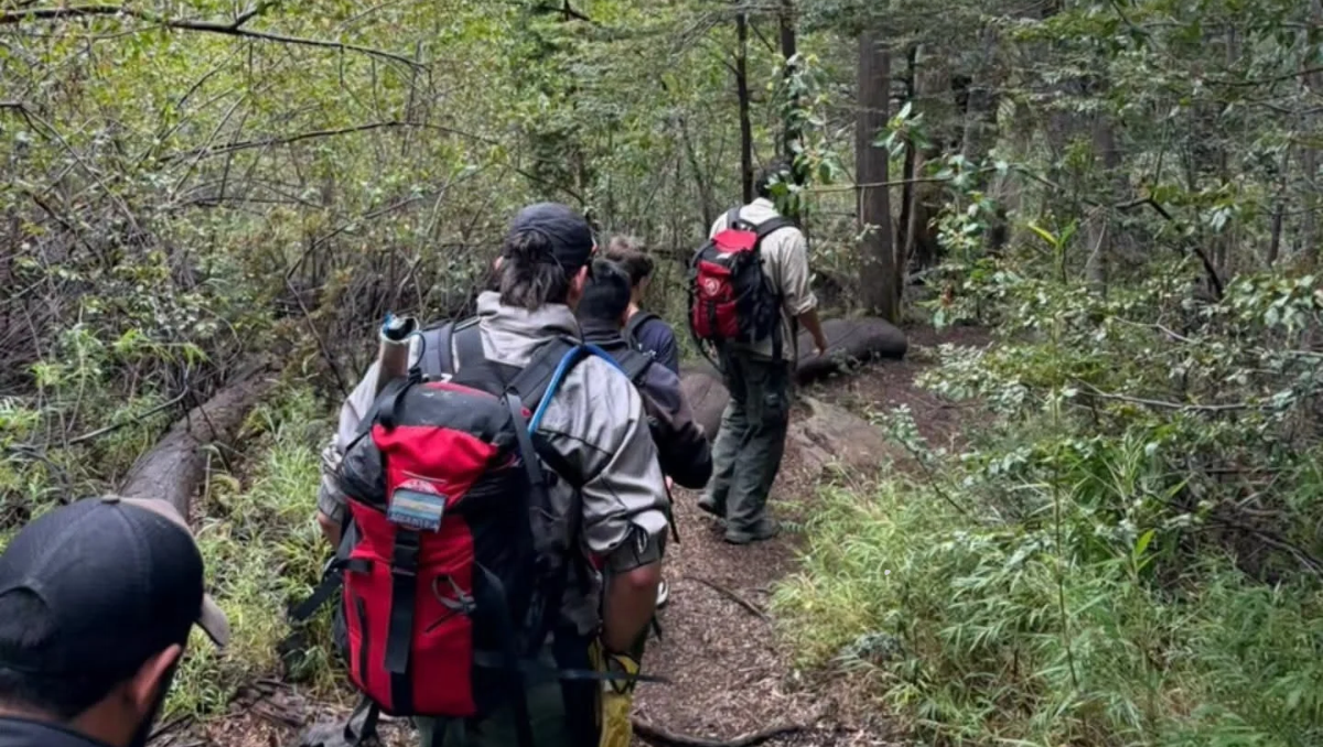 Un menor extraviado en el Parque Nacional Nahuel Huapi, obligó a desplegar un amplio operativo de búsqueda y rescate.