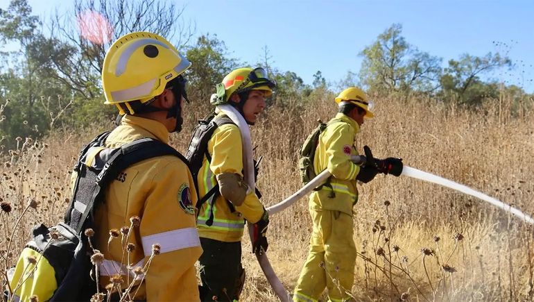 Por los incendios en el Parque Nacional Los Alerces, en Río Negro piden extremar las precauciones