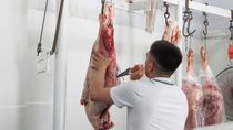 La carne se ha convertido en un producto casi inalcanzable para muchos consumidores, en particular, los de menores ingresos, en todo el país. 
