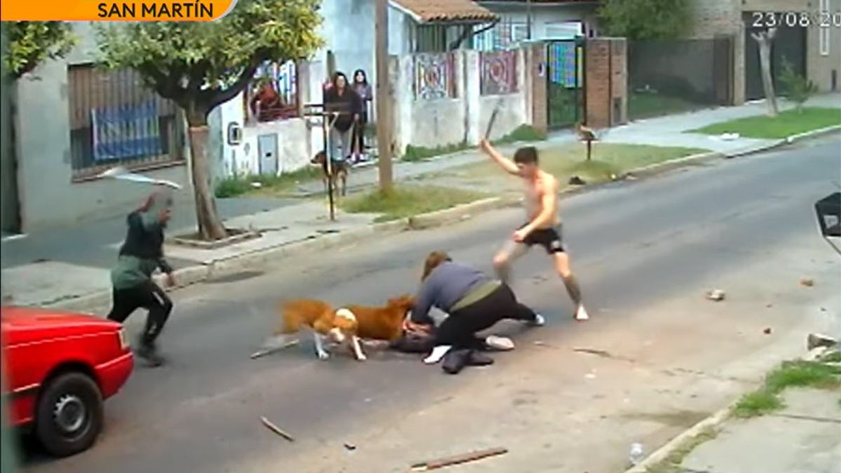 Video Una Mujer Fue Atacada Ferozmente Por Tres Perros