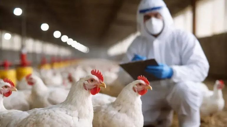 El Ministerio de Salud activó protocolos de vigilancia epidemiológica para evitar posibles contagios.