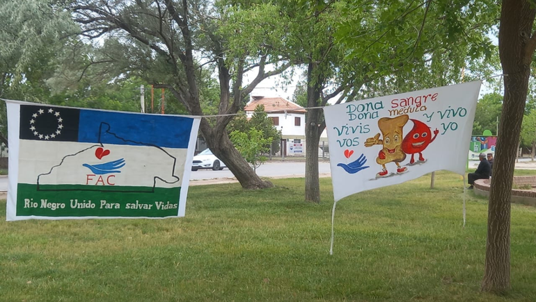 La Fundación llevará adelante una nueva jornada el próximo 6 de abril en la Plaza San Martín de Cipolletti.