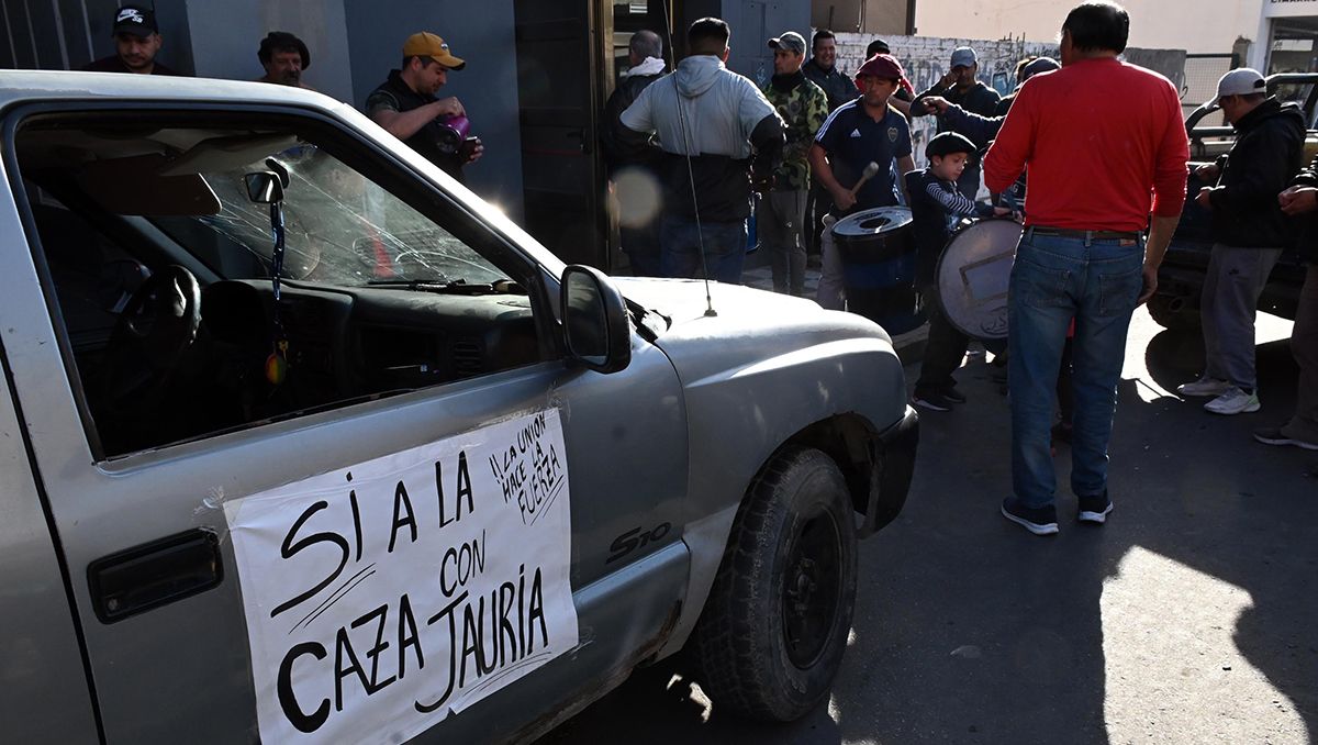 Reclaman en Río Negro que se habilite la caza anual de jabalíes