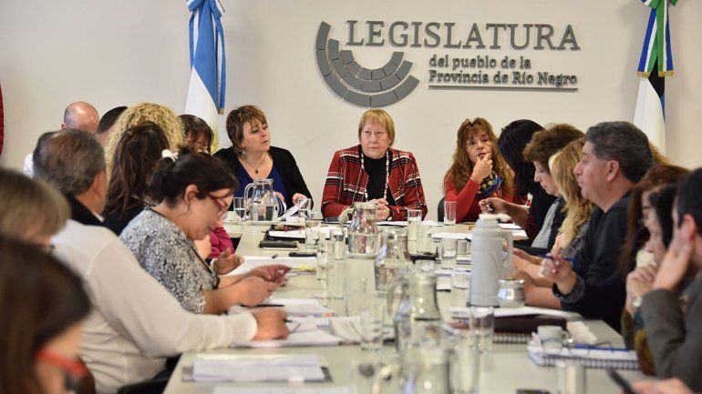 El debate por el cannabis medicinal llegó con polémica