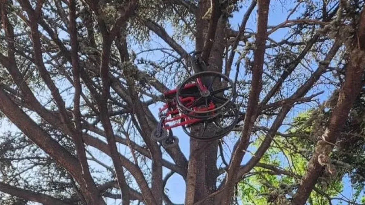 La silla de ruedas apareció atada a un árbol en una plaza de Patagones. Es un misterio aún no esclarecido.&nbsp;