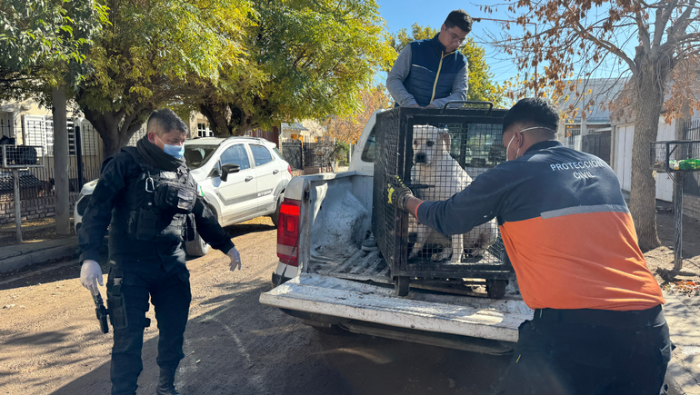 El operativo se desarrolló en la vivienda de 