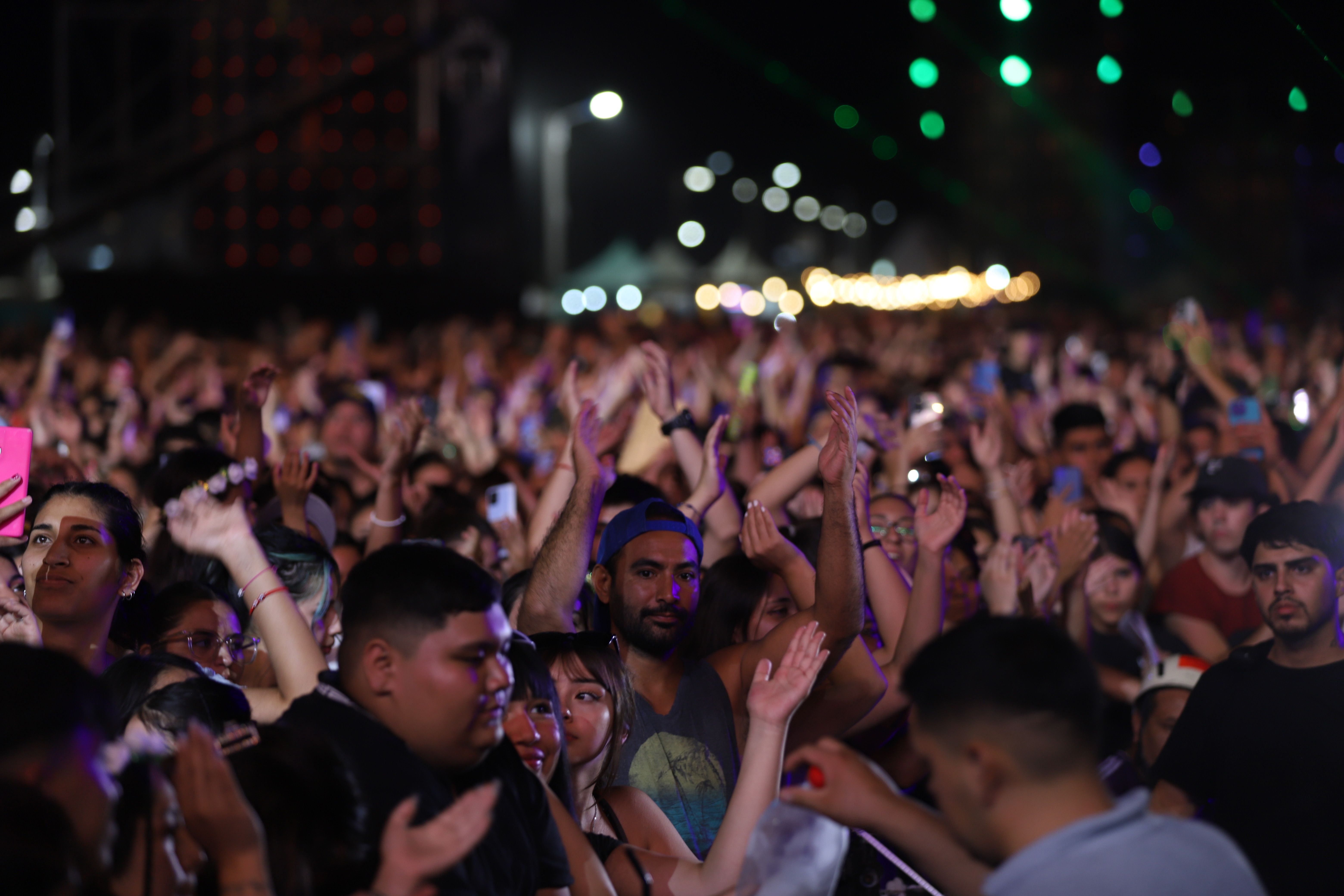 Fiesta de la Confluencia 2026 en Neuquén: develarán 4 de los artistas convocados
