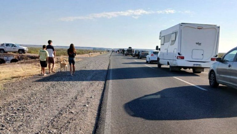 Choque frontal en la Ruta 237, cerca de Picún Leufú: un muerto y al menos dos heridos
