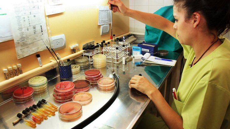 La facultad de Medicina hará tests gratuitos de VIH