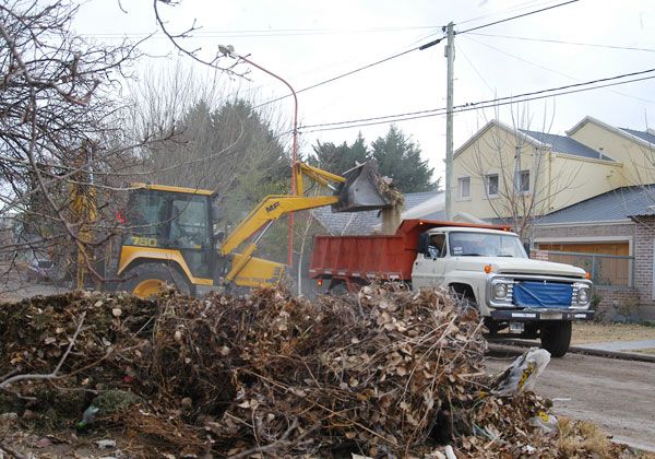 Luego del éxito del año pasado, vuelve el Cipolletti limpia