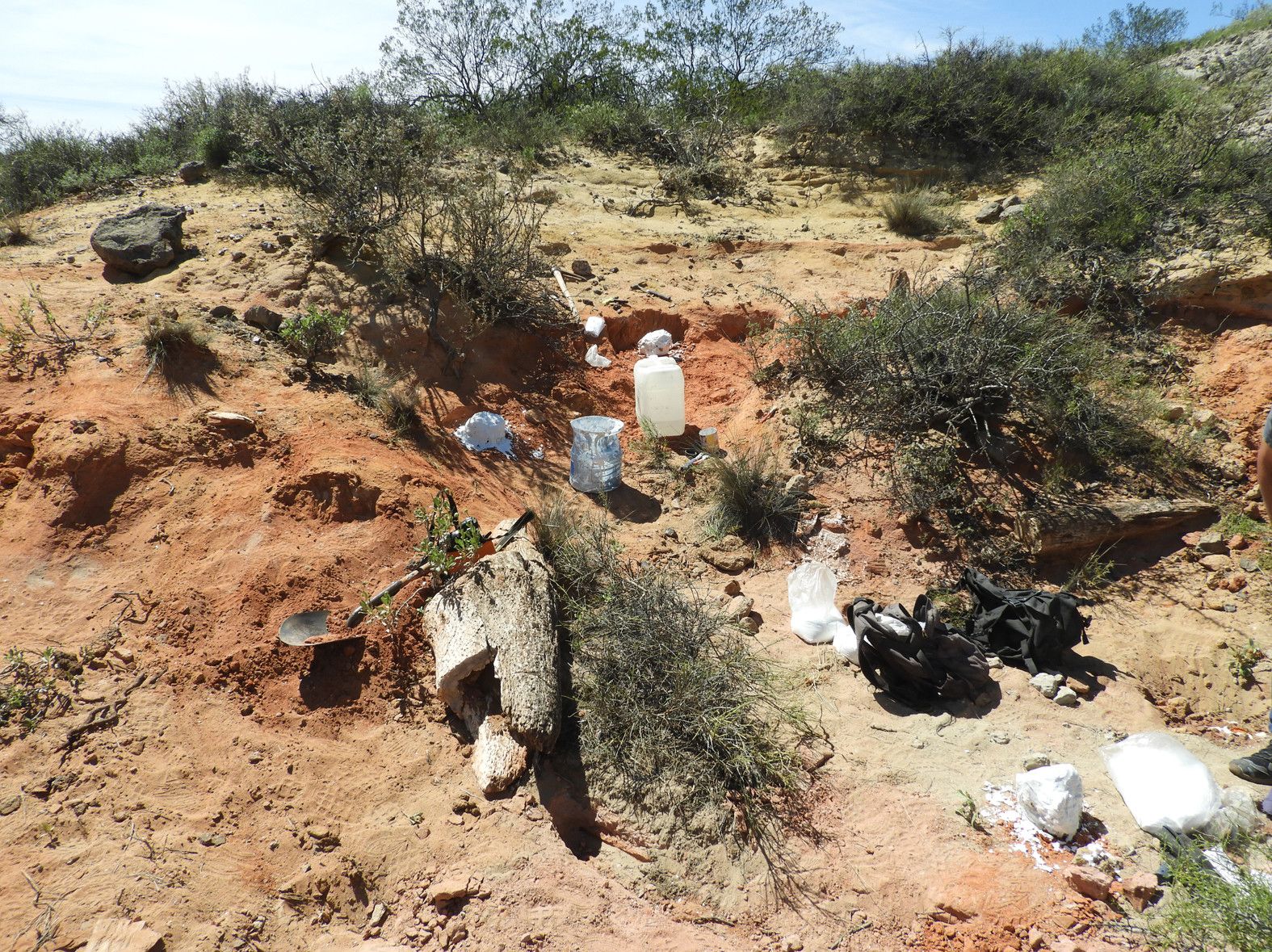Descubren en Río Negro nuevos restos de dinosaurios&nbsp;