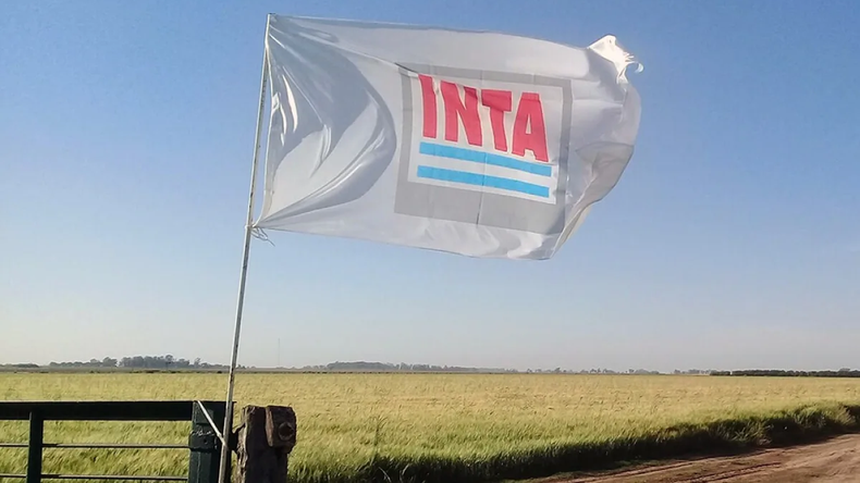 La motosierra avanza: ahora le toca al INTA y la IGJ, y hay preocupación de los trabajadores