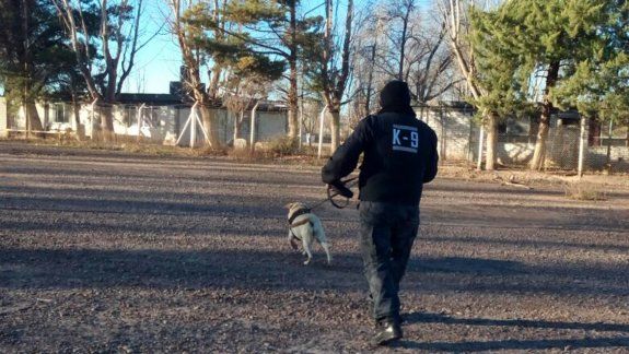 El cuerpo hallado podría ser del abuelo desaparecido hace 3 meses  