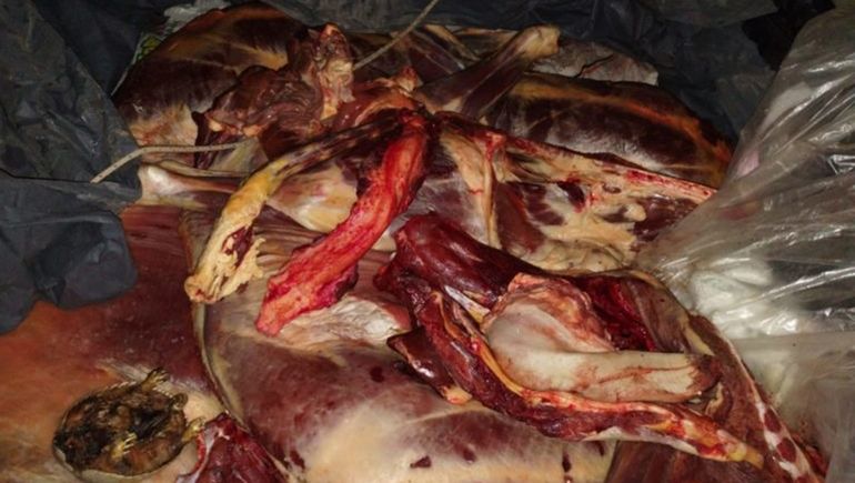 Secuestraron m&aacute;s de 700 kilos de carne y un arma de fuego 