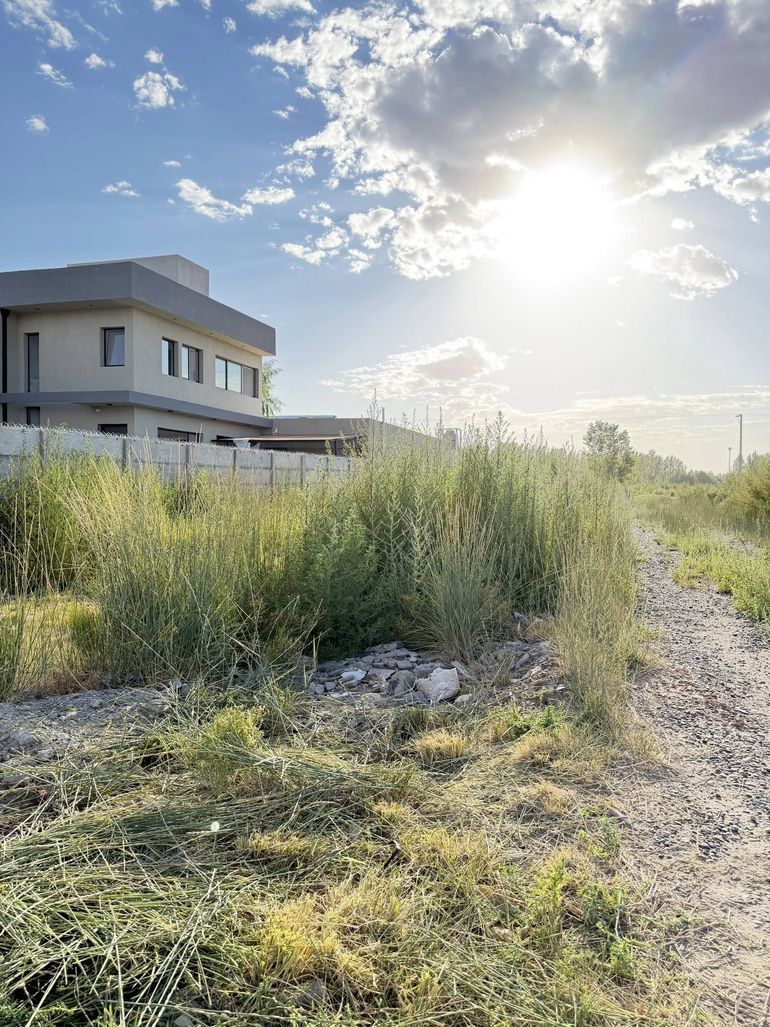 Las multas pueden llegar a dos millones de pesos. 