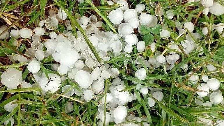 La zona más afectada por la tormenta fue la franja entre Cipolletti y Paso Córdoba