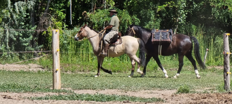 Serán casi dos meses para recorrer 1500 kilómetros.