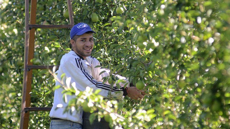 UATRE acordó el aumento salarial por la cosecha