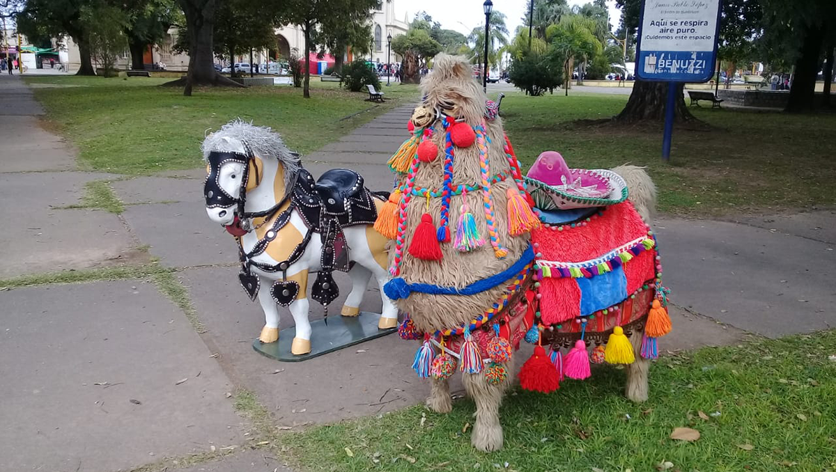 Denunciaron un caso de maltrato animal