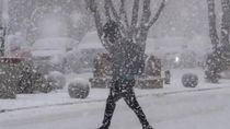 alerta por nieve en bariloche: rutas complicadas y clases suspendidas
