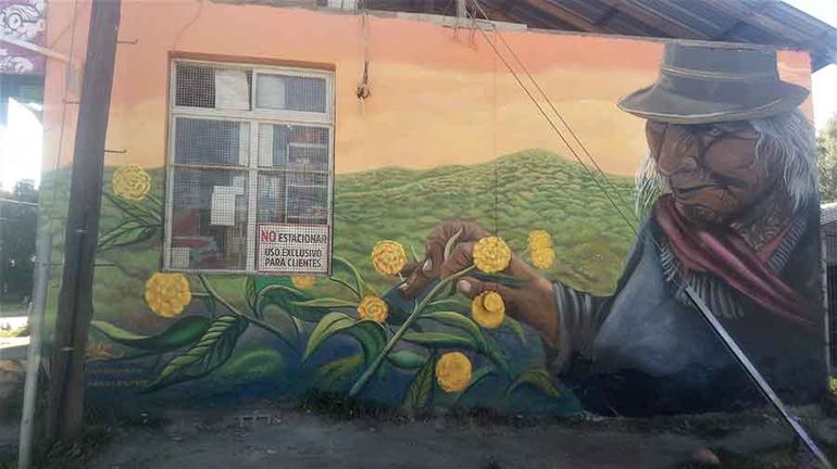 Los comerciantes de Bariloche identifican el valor del graffiti, ya que le da una distinción a su emprendimiento como este local del barrio Cumbre. 