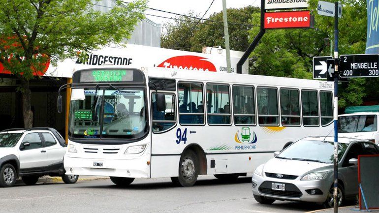 Los propietarios de Pehuenche no dejarán el servicio en diciembre.