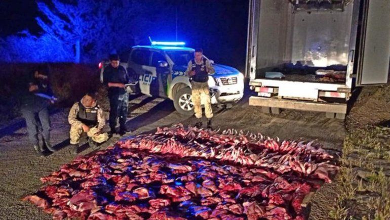 Los atraparon con 800 kilos de carne faenada clandestinamente