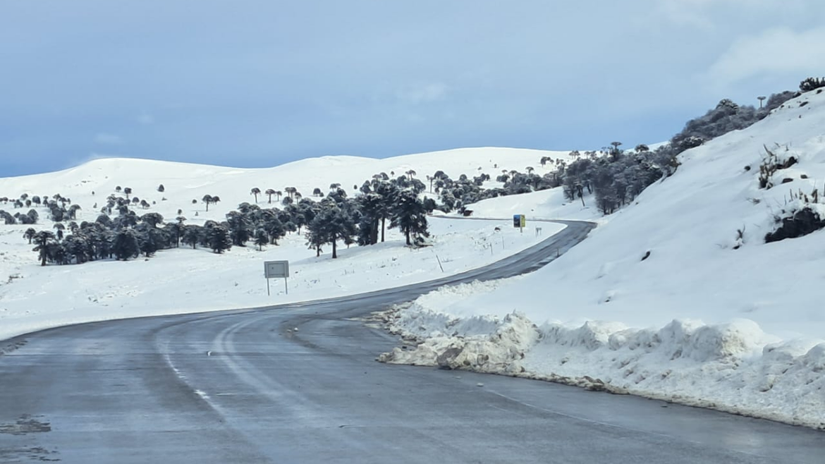 Cómo se encuentran los pasos fronterizos este domingo: nieve acumulada y hielo en las rutas