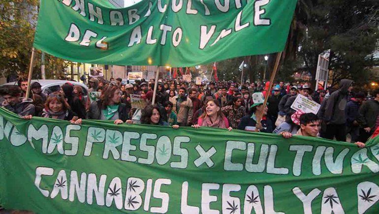 Cannabicultores del Alto Valle piden por la legalización del cultivo y consumo.