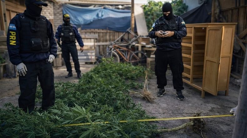 El operativo se llevó a cabo tras un trabajo silencioso que se extendió durante 30 días. Foto: Gentileza.