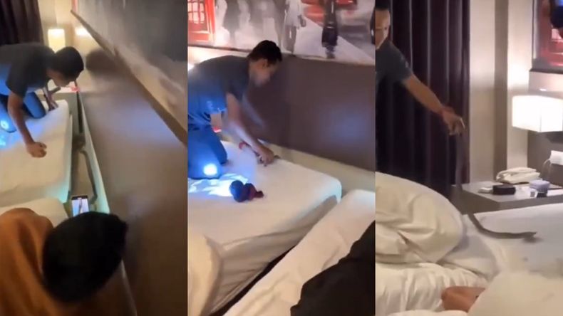 La serpiente, identificada como una cobra negra, se desplazaba sobre la cama y emitía un siseo constante.