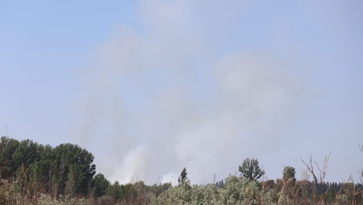 Una densa columna de humo penetrante nace en Cipolletti e invade Neuquén: ¿Qué pasó?