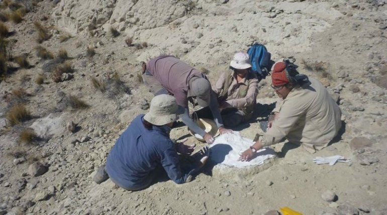 Se abre la licitación para la construcción del Paleoparque Comallo