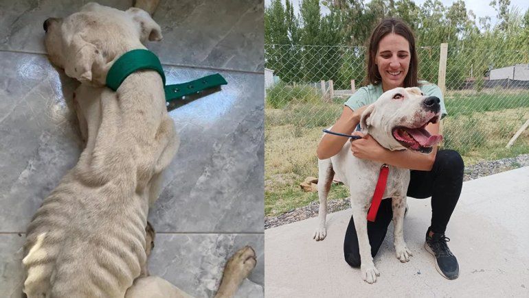 El final más esperado: Marcus fue adoptado y ya tiene su familia soñada