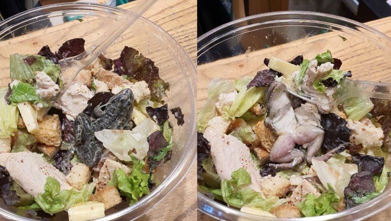 Cierran el local en el que apareció una rana en una ensalada