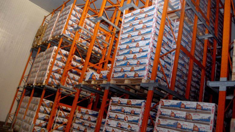 Todos los frigoríficos rionegrinos deben presentar su declaración jurada.