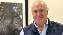 Víctor Tonelli, especialista en mercados ganaderos, vaticinó una mejora para la actividad a partir del próximo año.