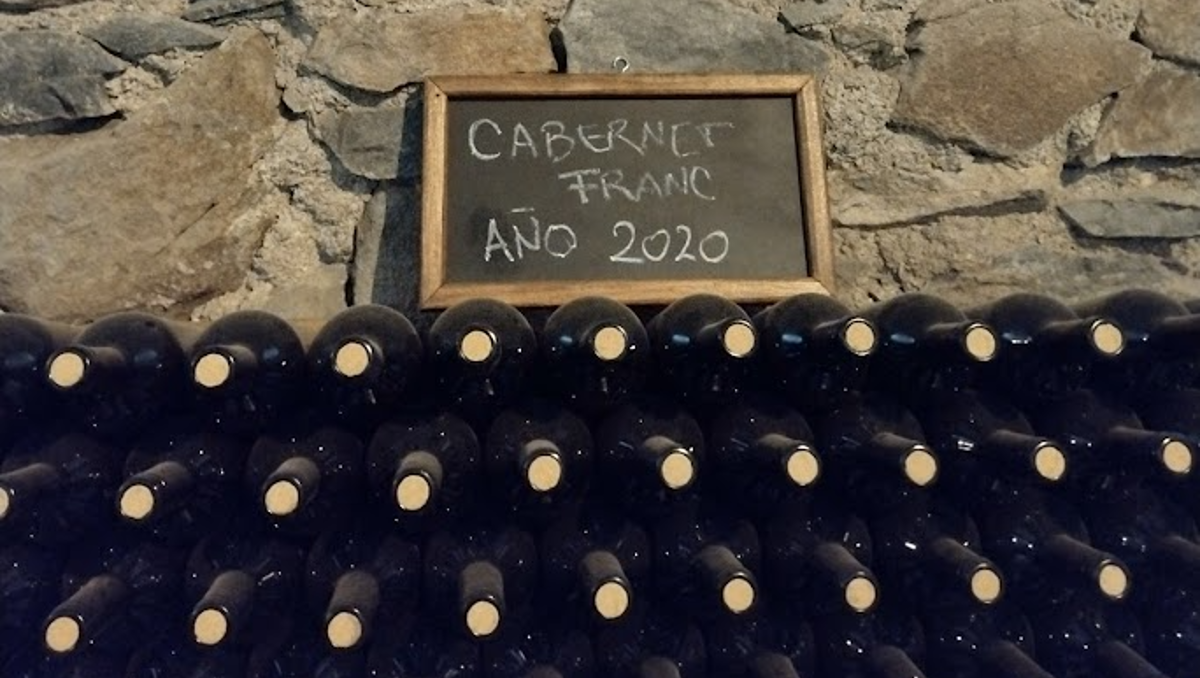 12 tintos perfectos para celebrar el día mundial del cabernet franc