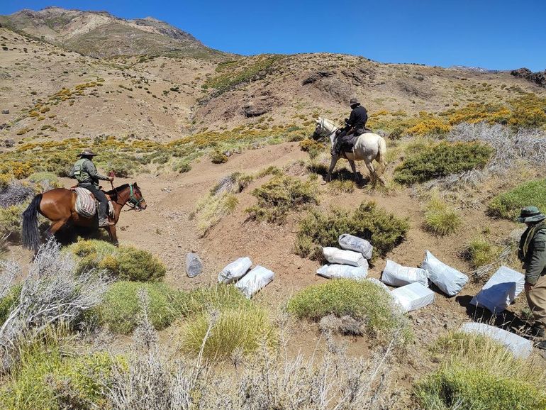 Descartaron medicamentos y ropa camino a Chile