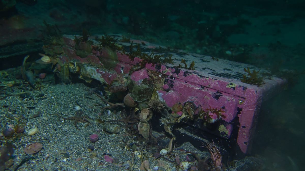 Así se encontraban las baterías del barco hundido frente a Las Grutas. Foto: gentileza.