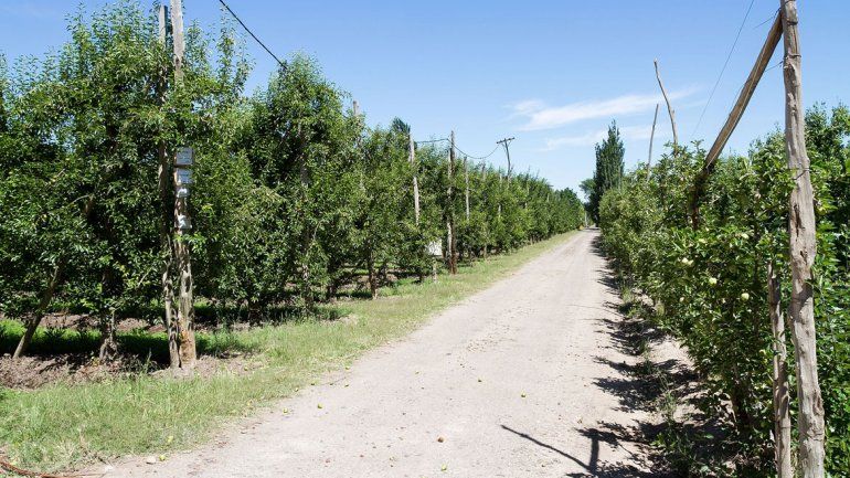 Aseguran que los loteos arrasaron con las tierras productivas en Cipolletti