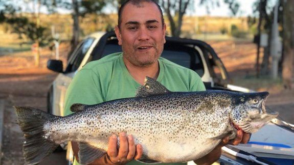 Regalo de Navidad: un neuquino pescó una trucha de 9