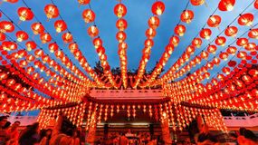 Este martes 17 de febrero comenzó el Año del Caballo de Fuego. | LMCipolletti.com Este martes 17 de febrero comenzó el Año del Caballo de Fuego.