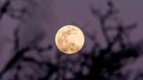 Aunque las superlunas se presentan cada cierto tiempo, lo inusual es que ocurran tres seguidas. Foto: Agencia EFE.
