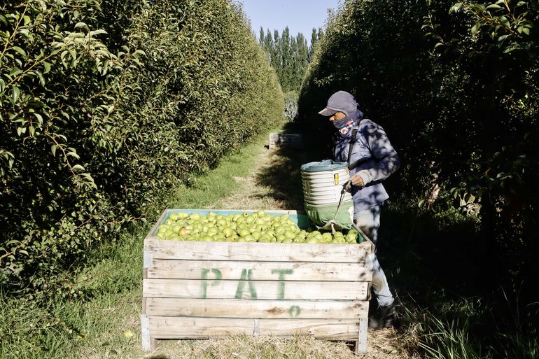 Los trabajadores rurales de la región